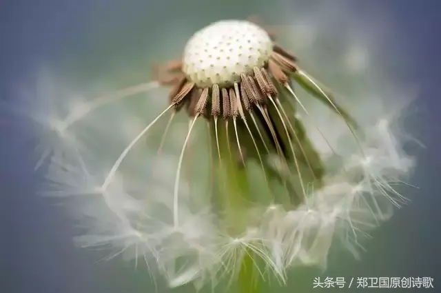 多少人曾爱慕你年轻时的容颜