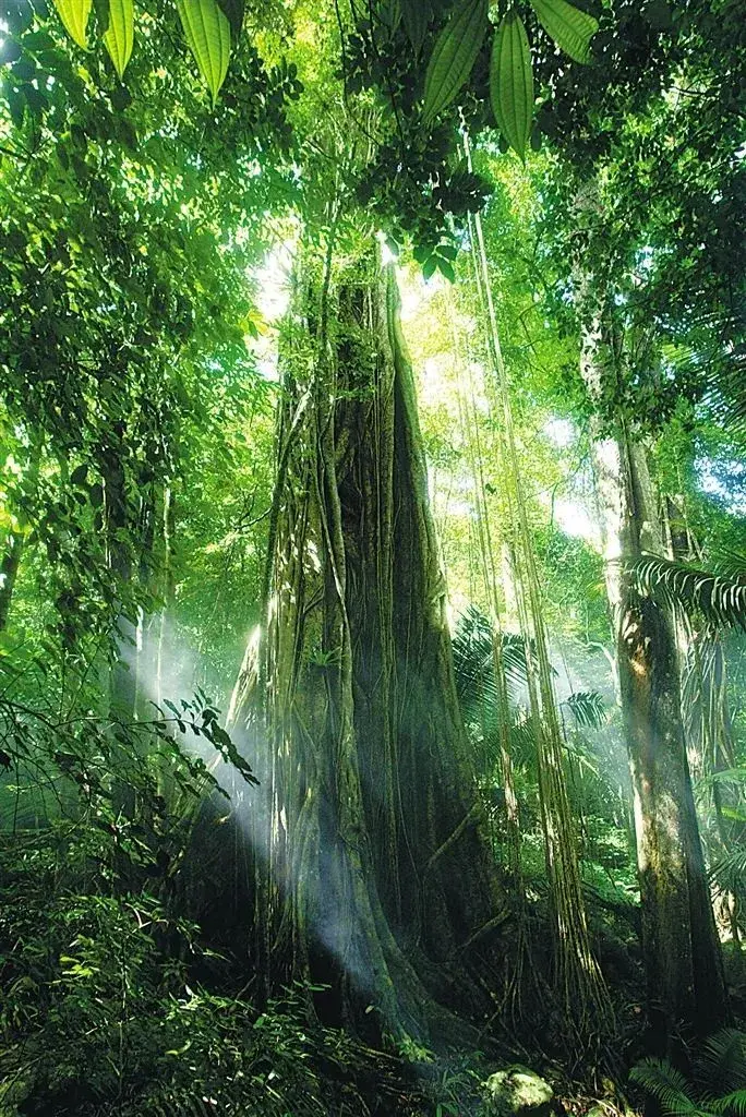 保护生物多样性的意义