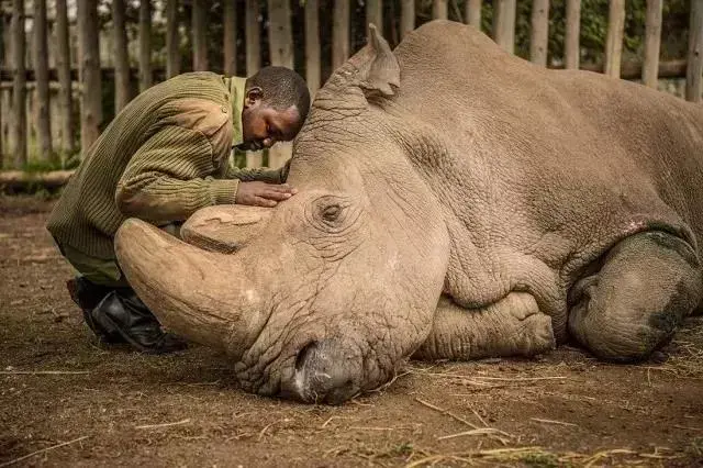 保护生物多样性的意义