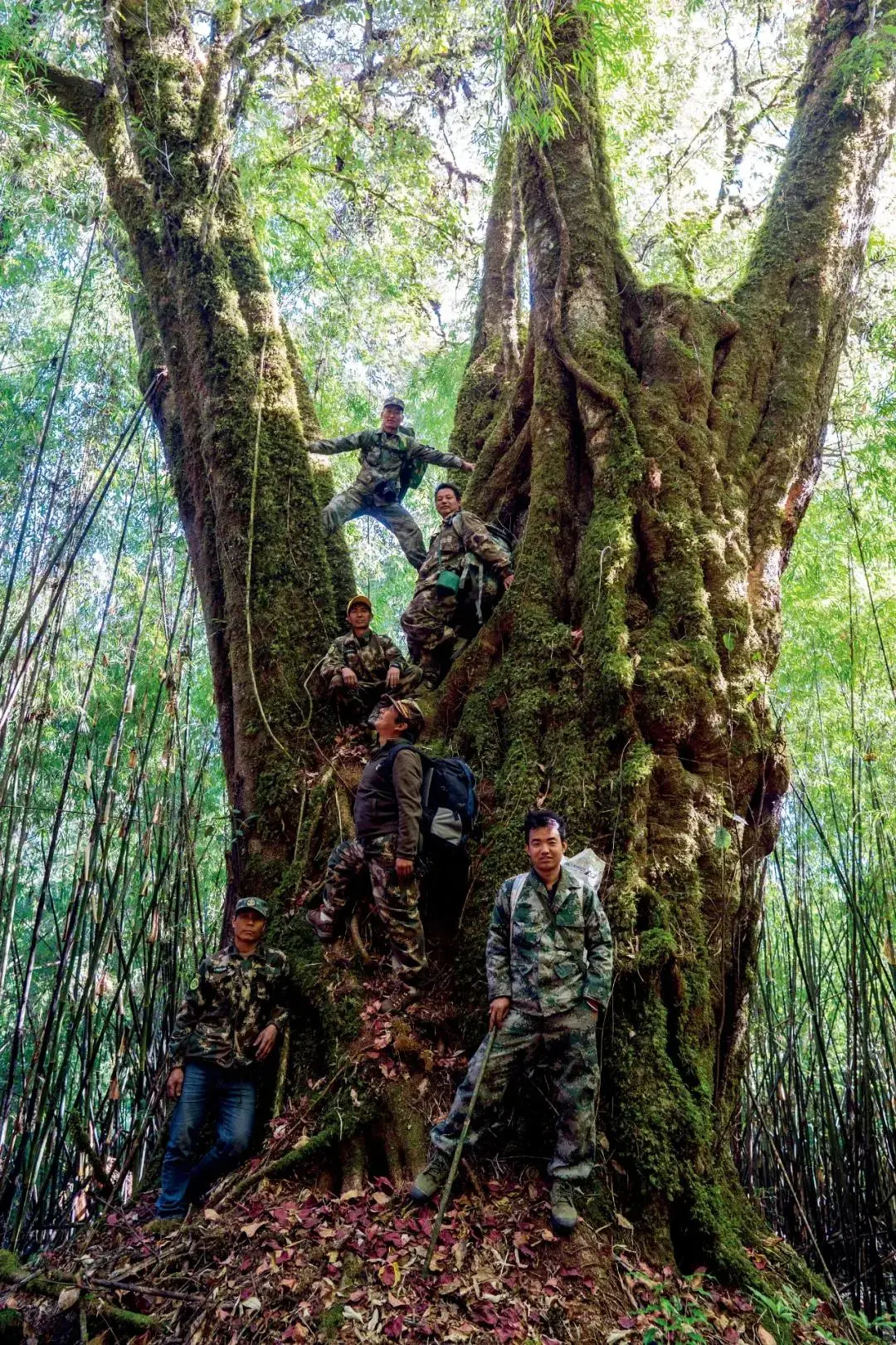 保护生物多样性的意义